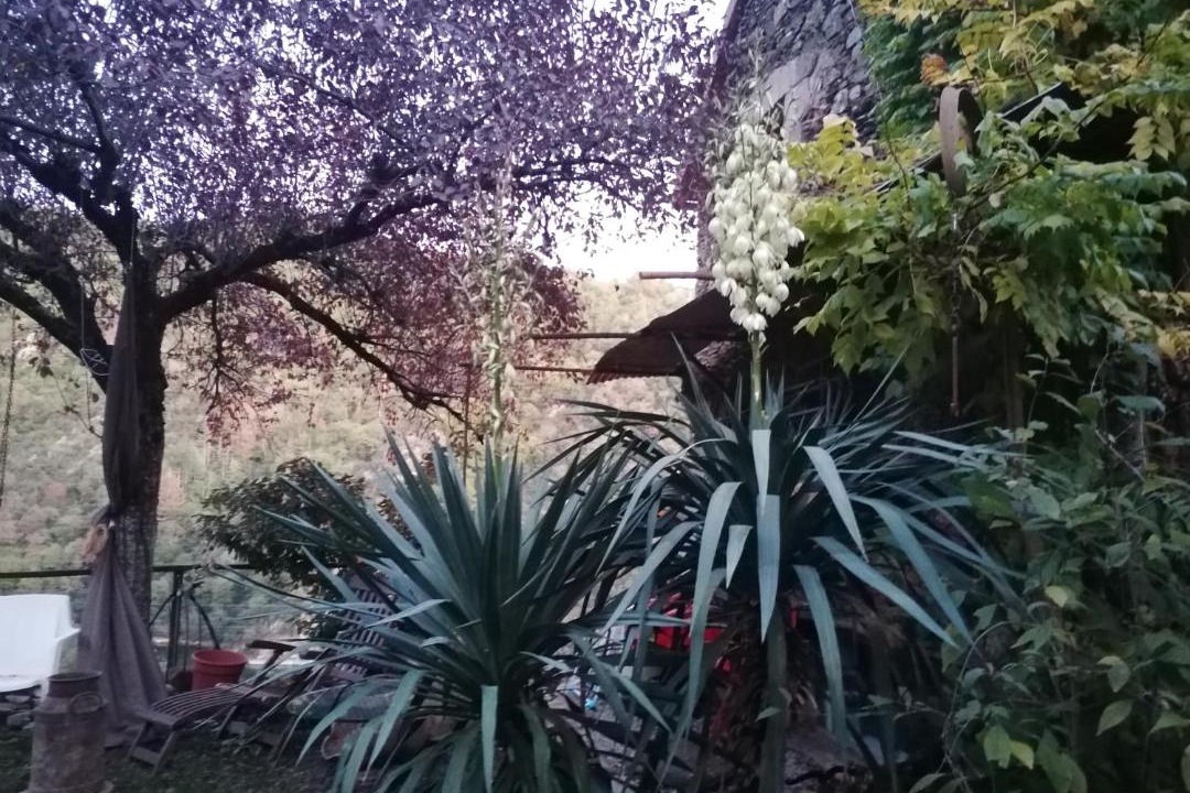 Photo of Others in Broquies