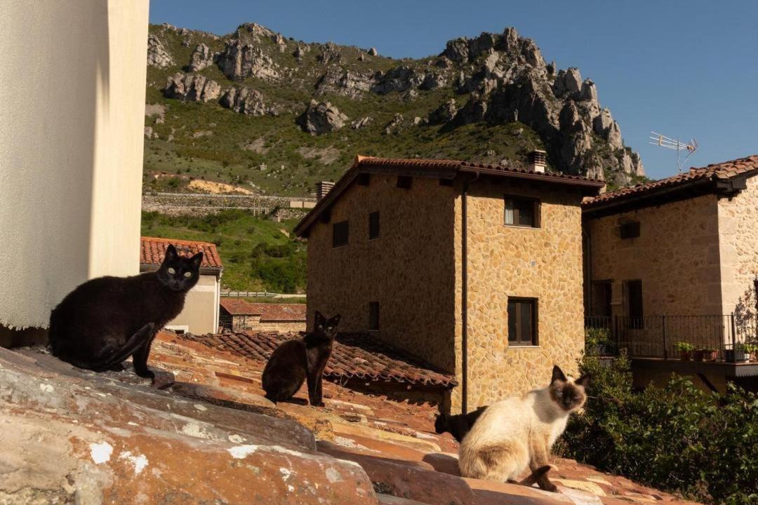 Photo of Buildings in Pancorbo