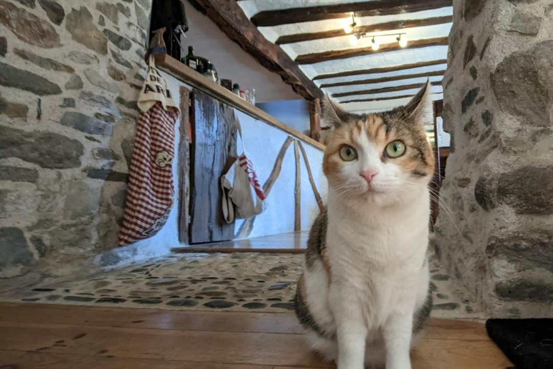 Photo of Buildings in Les Bordes-sur-Lez