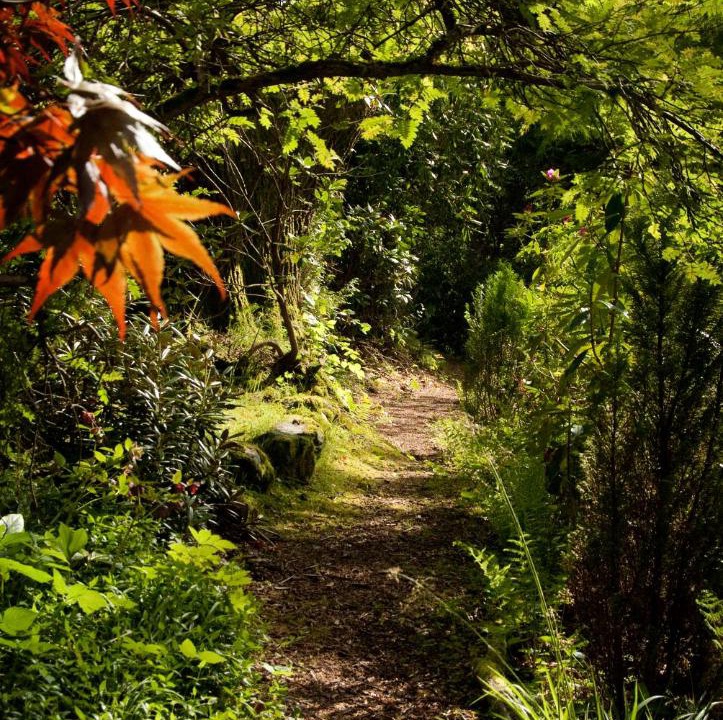 Photo of Outdoor in Pitlochry