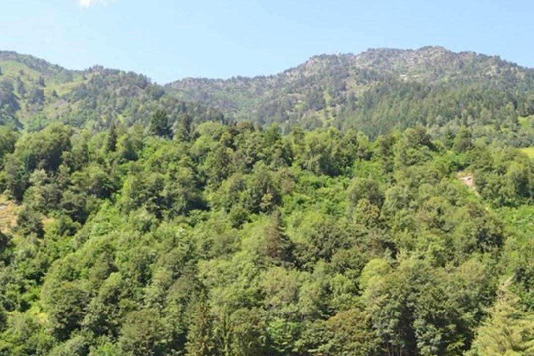 Photo of Others in Bareges