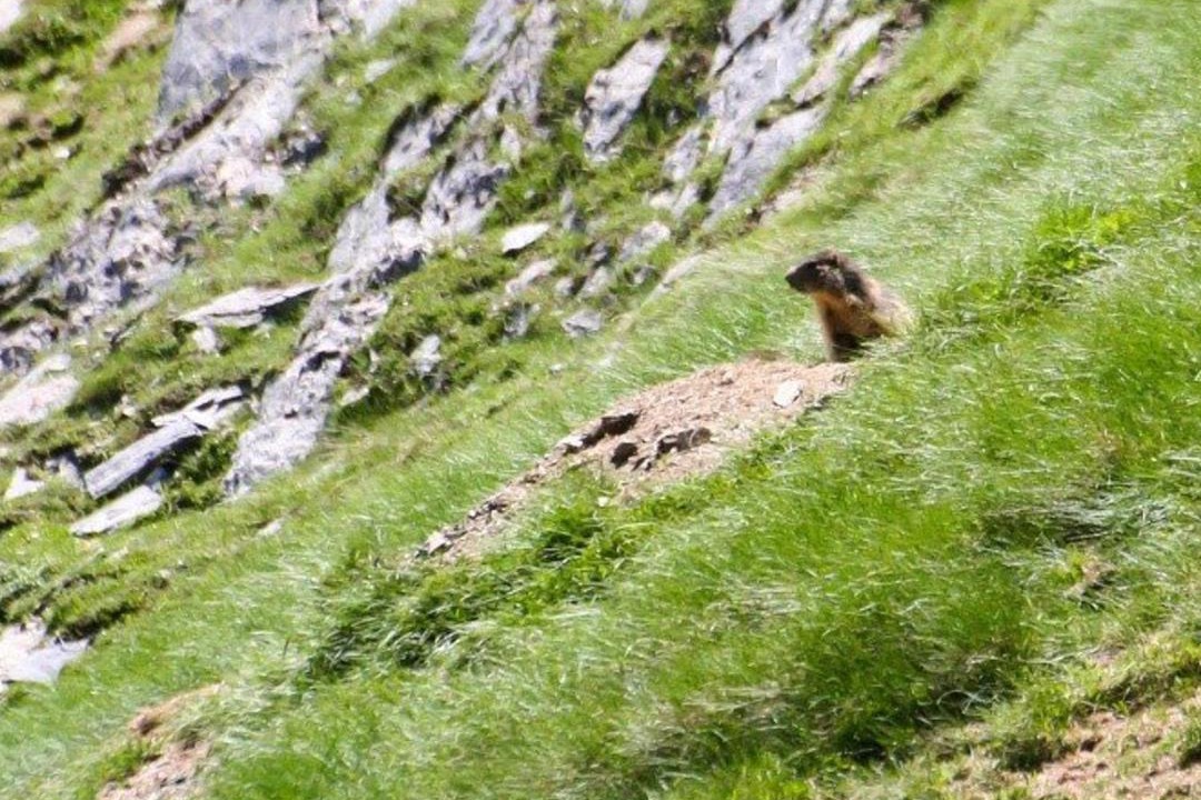Photo of Others in Cauterets