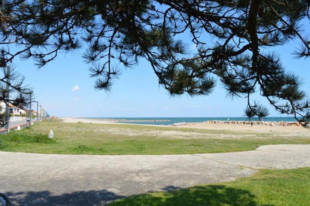 Photo of Others in Saint-Cyprien Plage