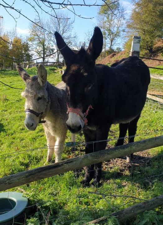 Photo of Others in Saint-Martin-de-la-Lieue