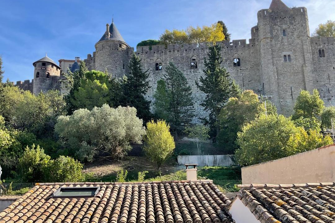 Photo of Others in Carcassonne