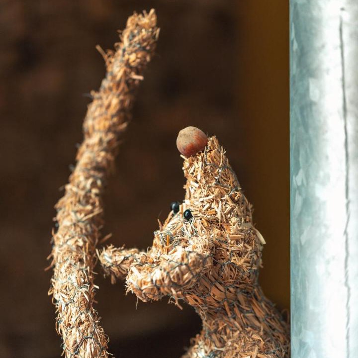 Photo of Others in Pance