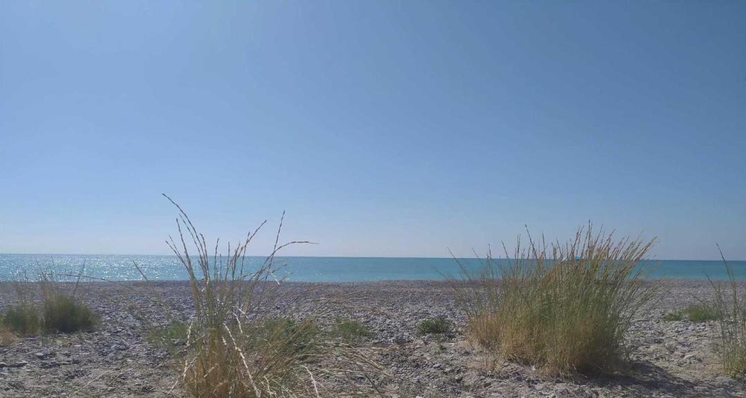 Photo of Outdoor in Playa de Almarda