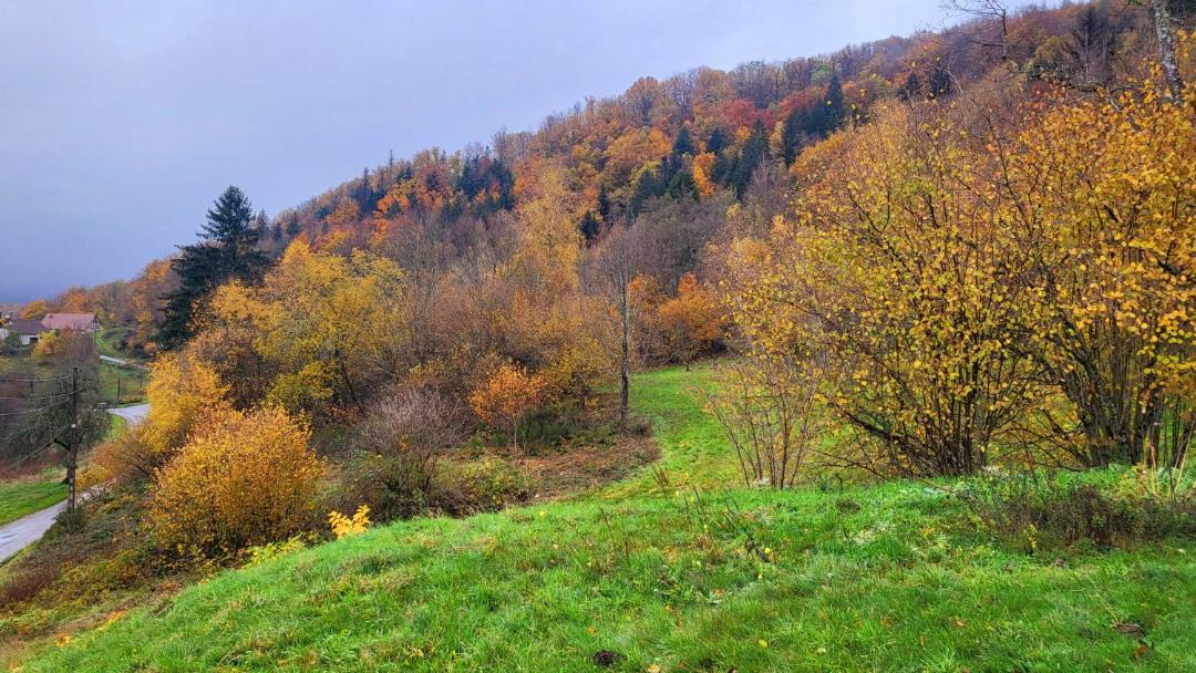 Photo of Others in Haut-du-Them-Chateau-Lambert
