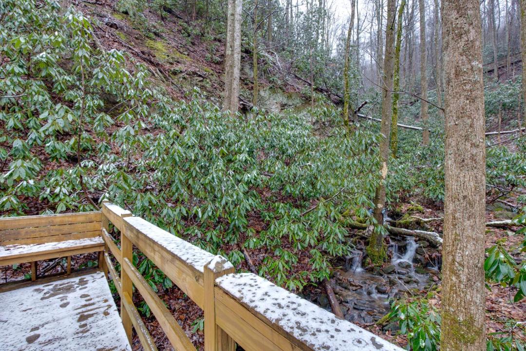 Photo of Others in Smoky Mountains