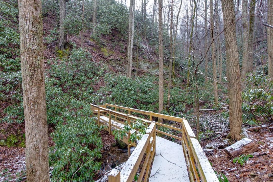 Photo of Others in Smoky Mountains