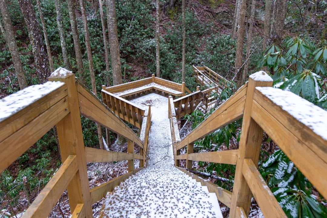 Photo of Others in Smoky Mountains