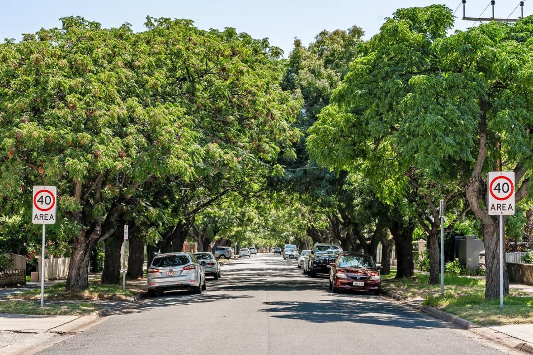 Photo of Others in Allenby Gardens