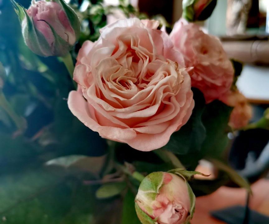 Photo of Others in Les Veneurs