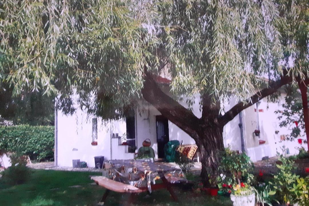 Photo of Buildings in Saint-Seurin-sur-l'Isle