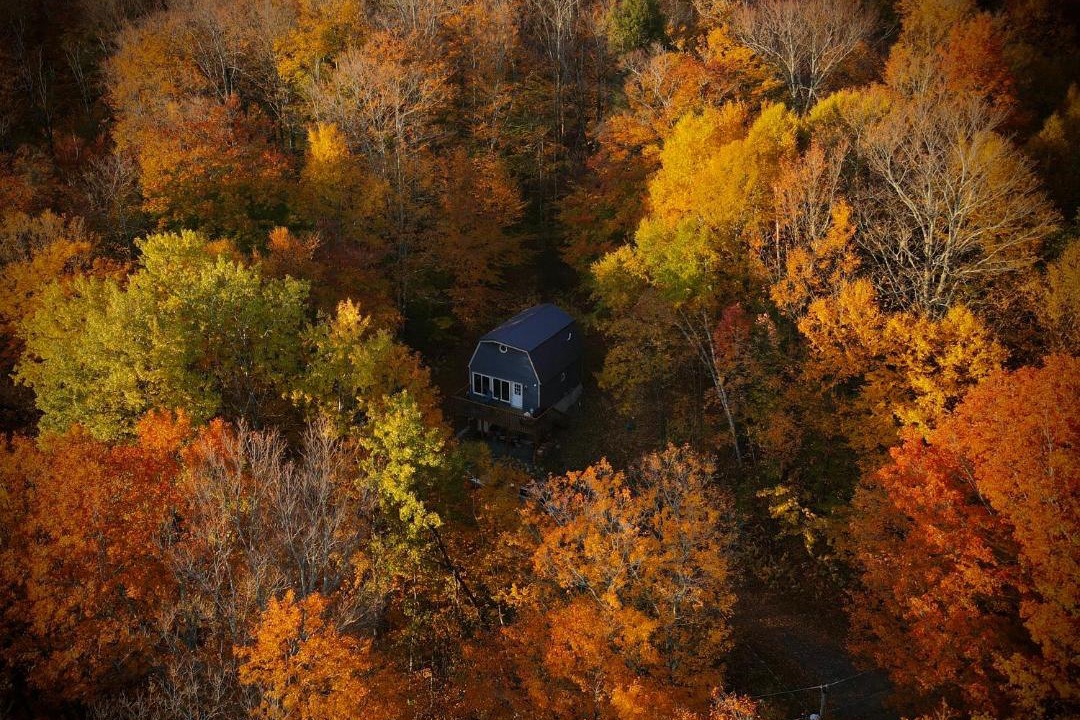 Photo of Others in East Dover