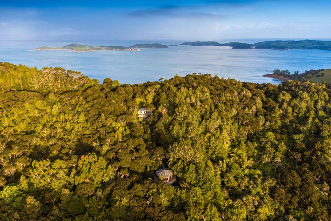 Photo of Others in Waiheke Island