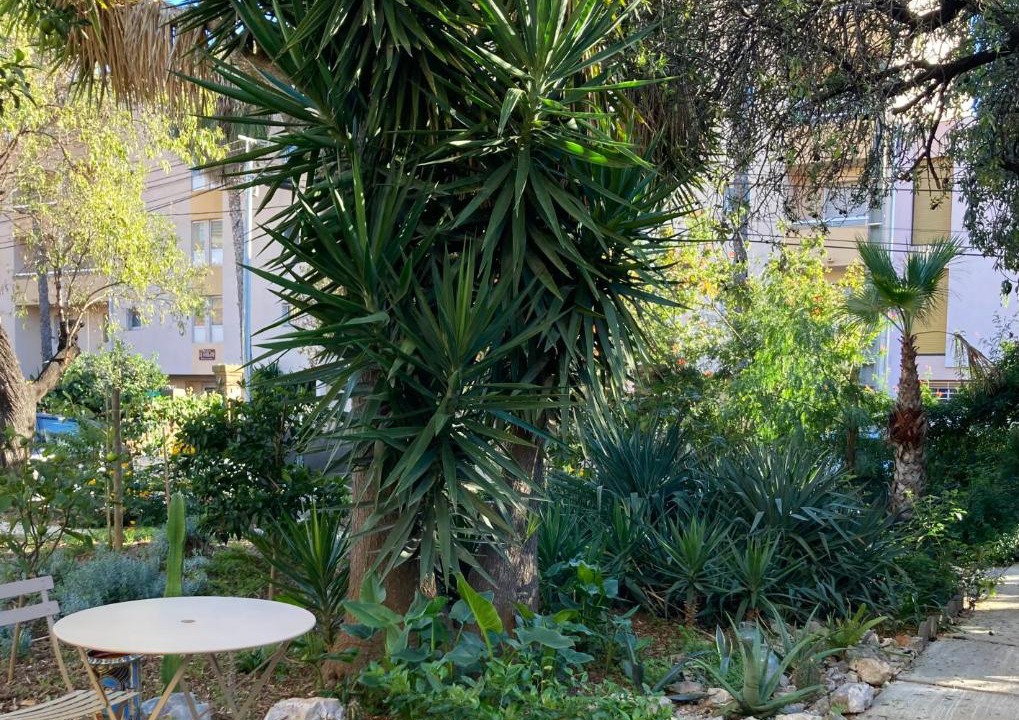 Photo of Others in Hyeres City Centre