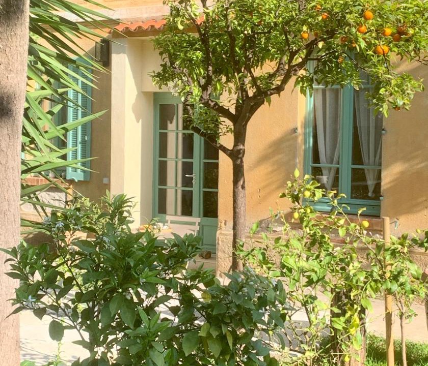 Photo of Buildings in Hyeres City Centre