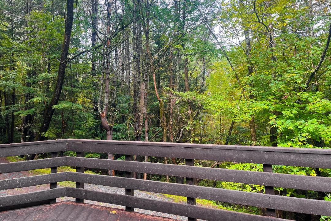 Photo of Others in Quechee