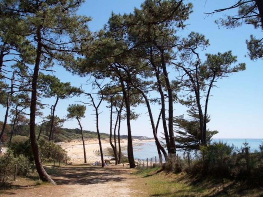 Photo of Others in Les Conches