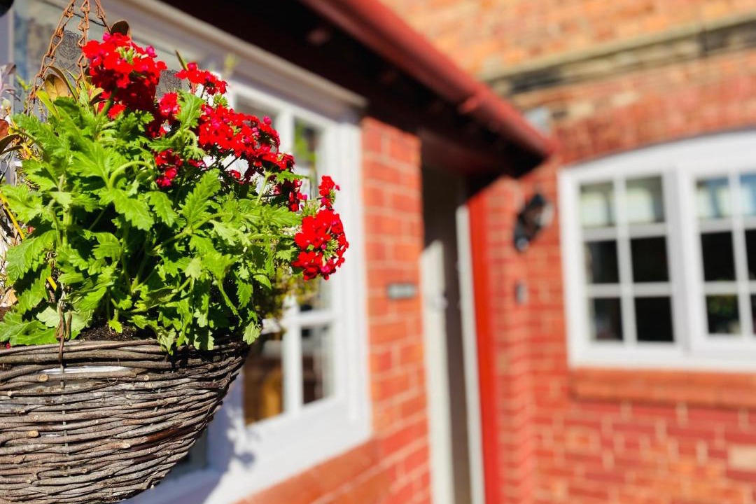 Photo of Others in Chester