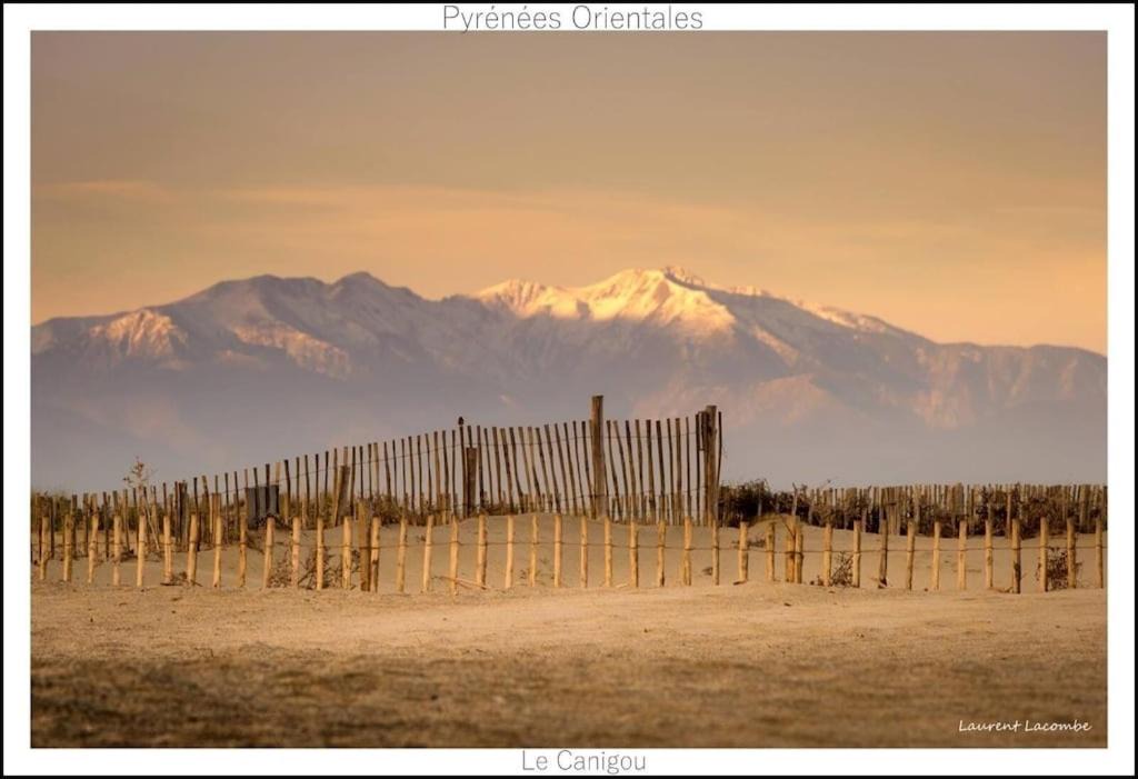 Photo of Others in Sorede