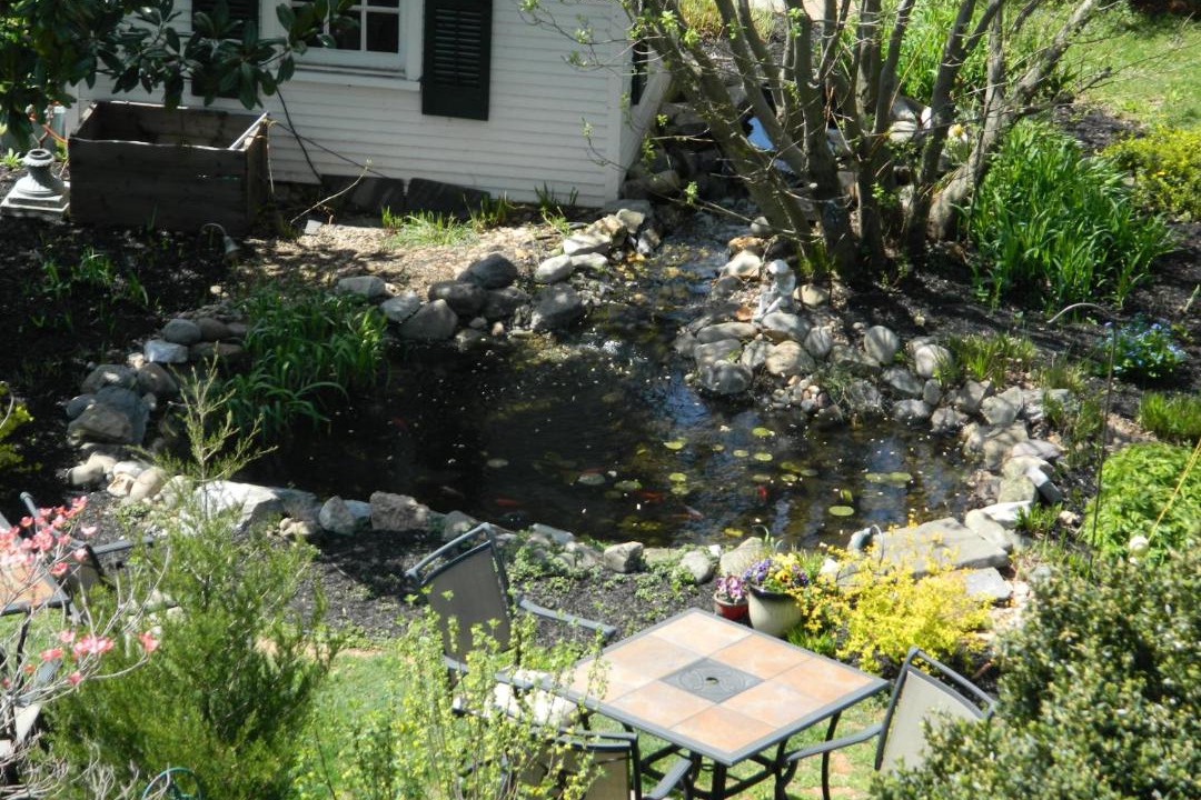 Photo of Others in Neffsville