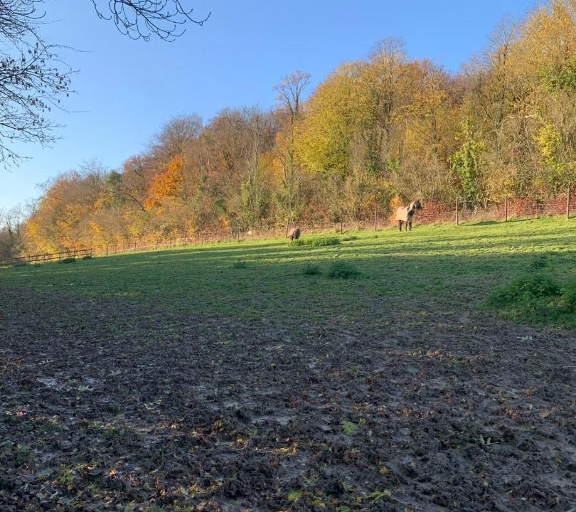 Photo of Outdoor in Bouvelinghem