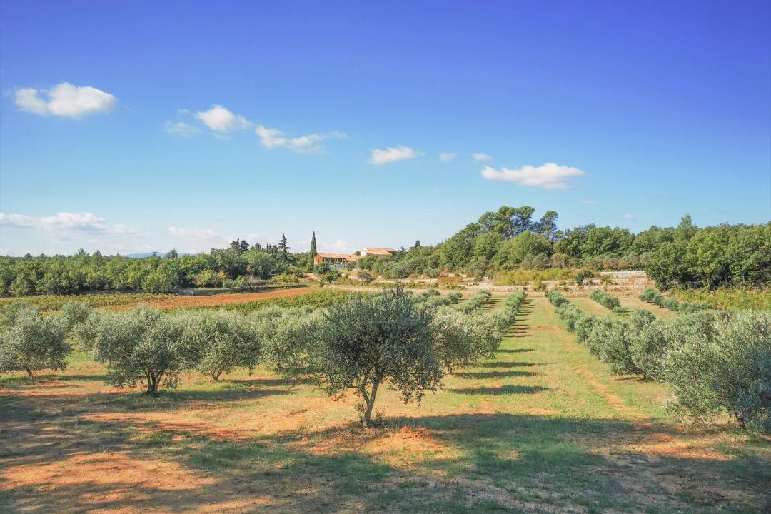 Photo of Others in Saint-Maximin-la-Sainte-Baume