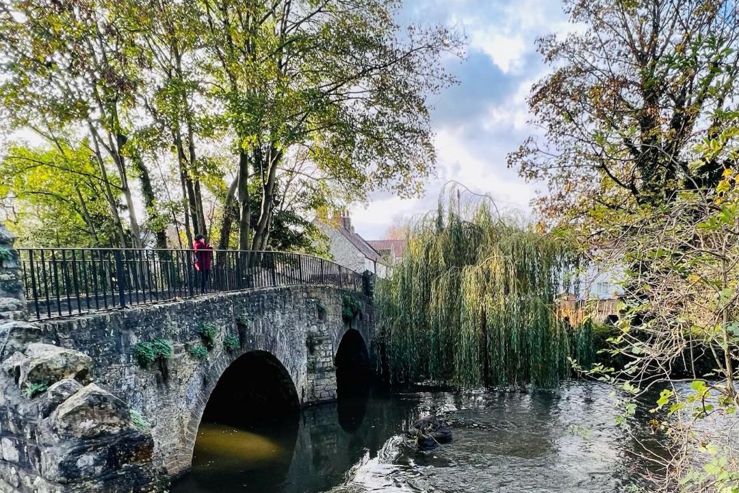 Photo of Others in Keynsham