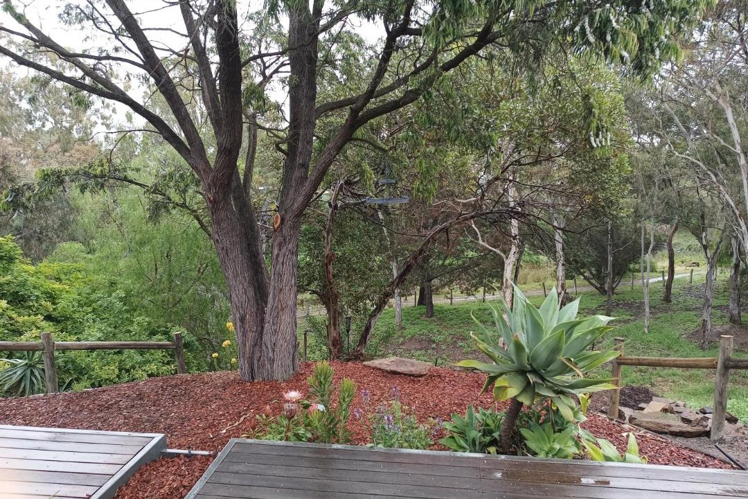 Photo of Others in Strathalbyn