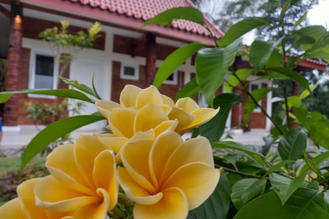 Photo of Patio Balcony in Pakem