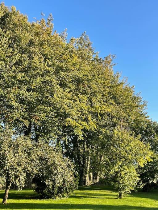 Photo of Outdoor in Therouldeville