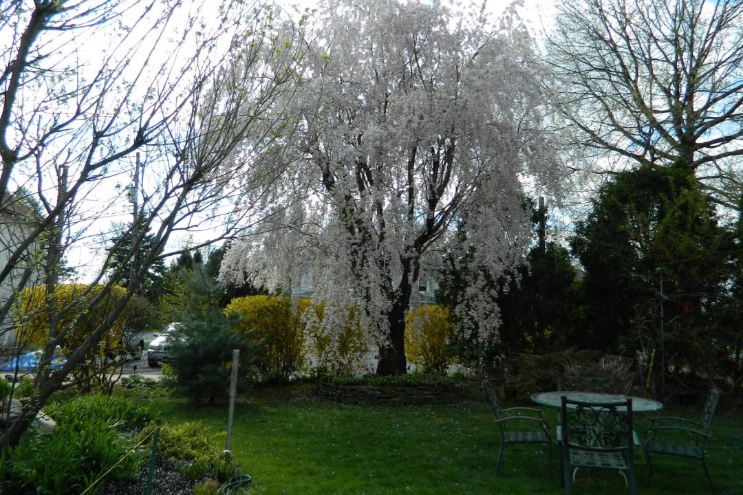 Photo of Others in Neffsville