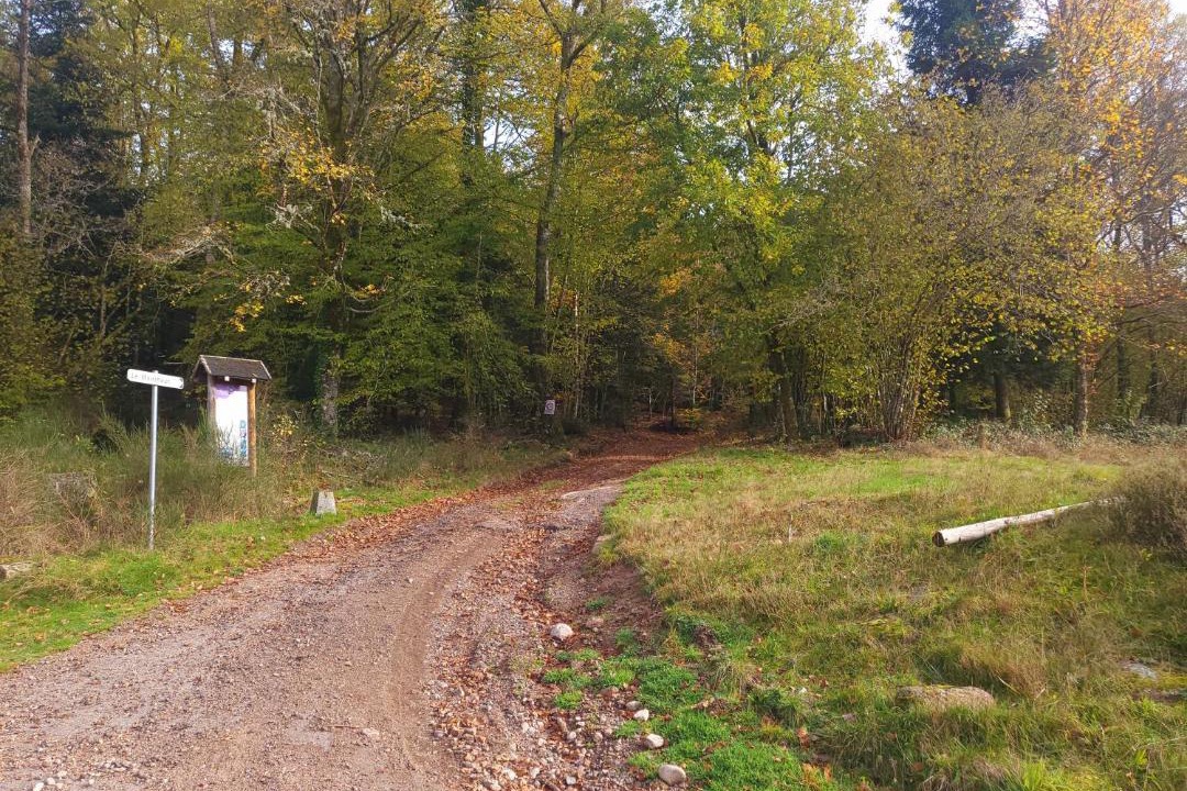 Photo of Others in Haut-du-Them-Chateau-Lambert