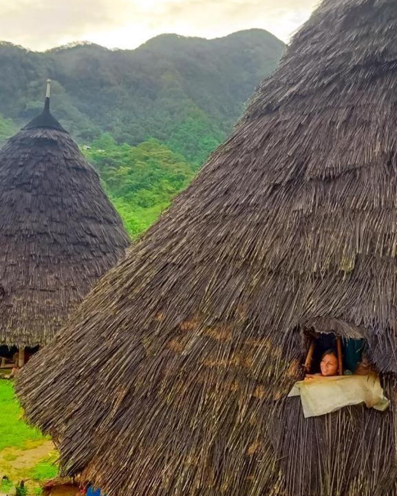 Photo of Others in Labuan Bajo