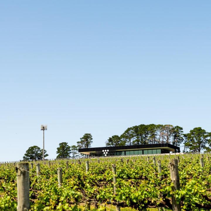 Photo of Outdoor in McLaren Flat