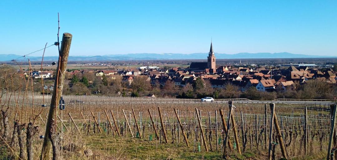 Photo of Outdoor in Bergheim