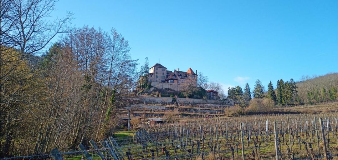 Photo of Outdoor in Bergheim