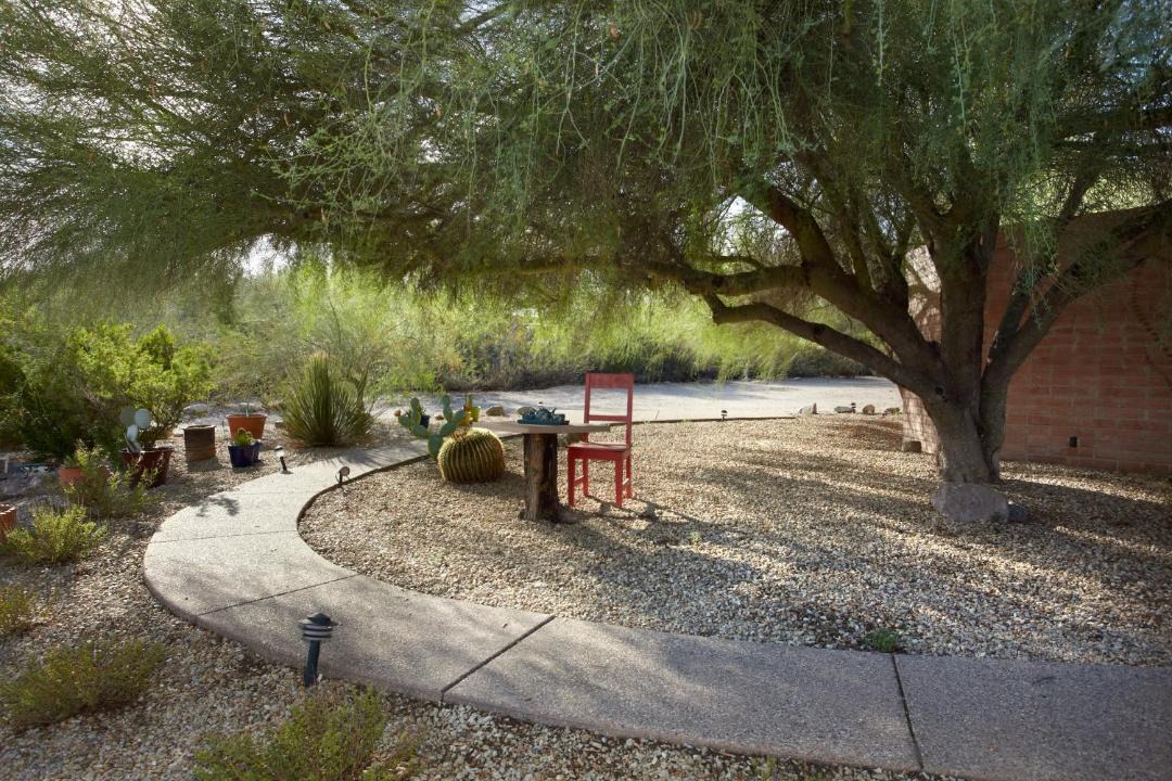 Photo of Others in Tanque Verde