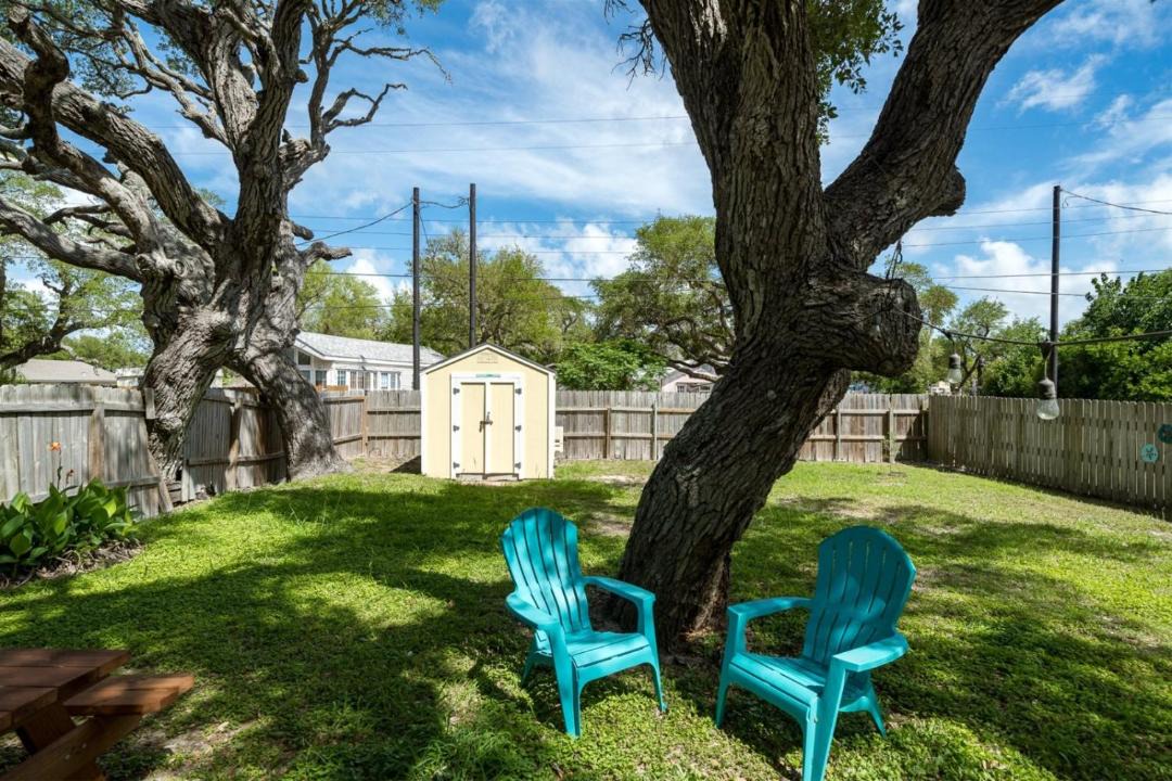 Photo of Others in Aransas Pass