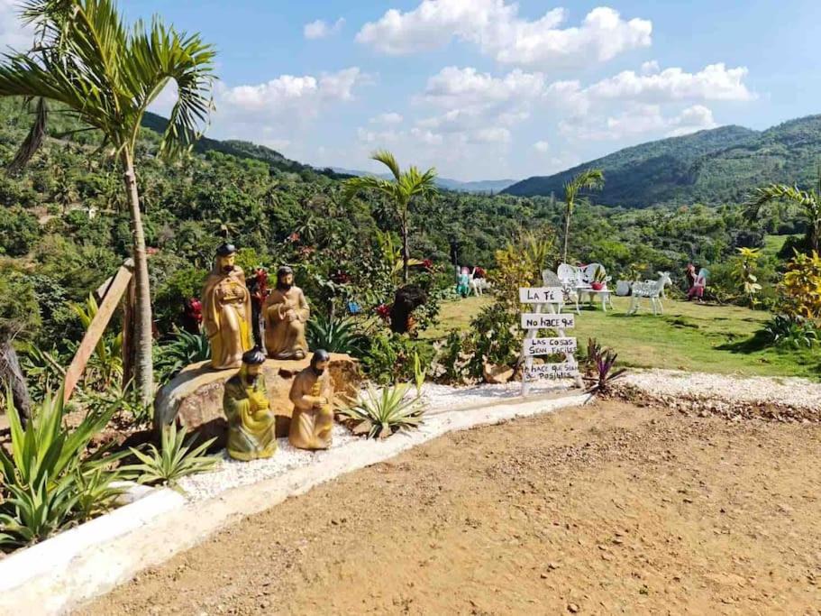 Photo of Others in Pedro Brand