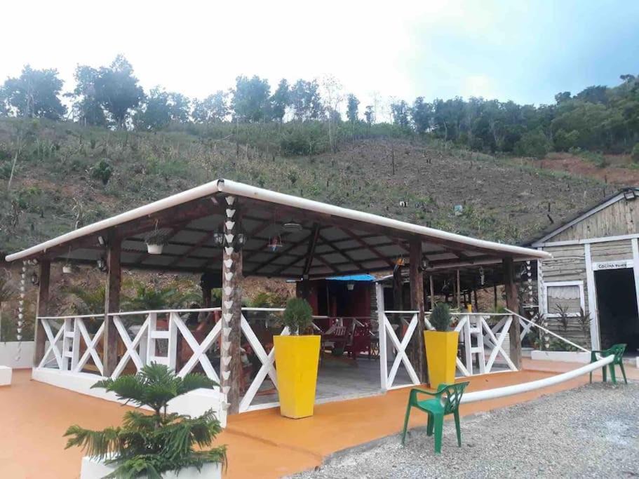 Photo of Others in Pedro Brand