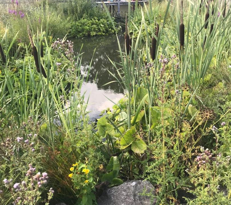 Photo of Outdoor in Abbess Roding