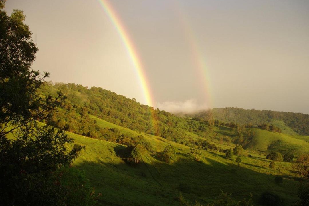 Photo of Outdoor in King Scrub