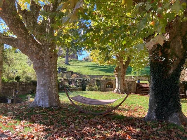 Photo of Outdoor in Sarcey