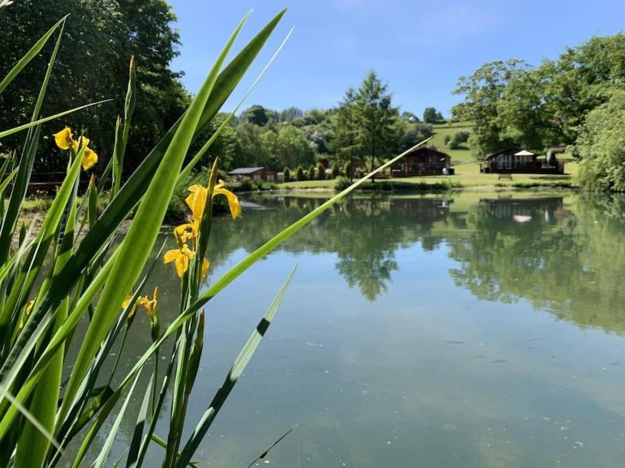 Photo of Outdoor in Meifod