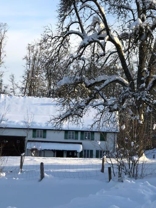 Photo of Buildings in Pfaffikon District