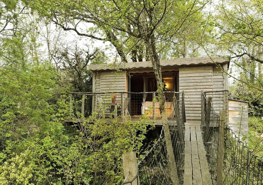 Photo of Others in Pons