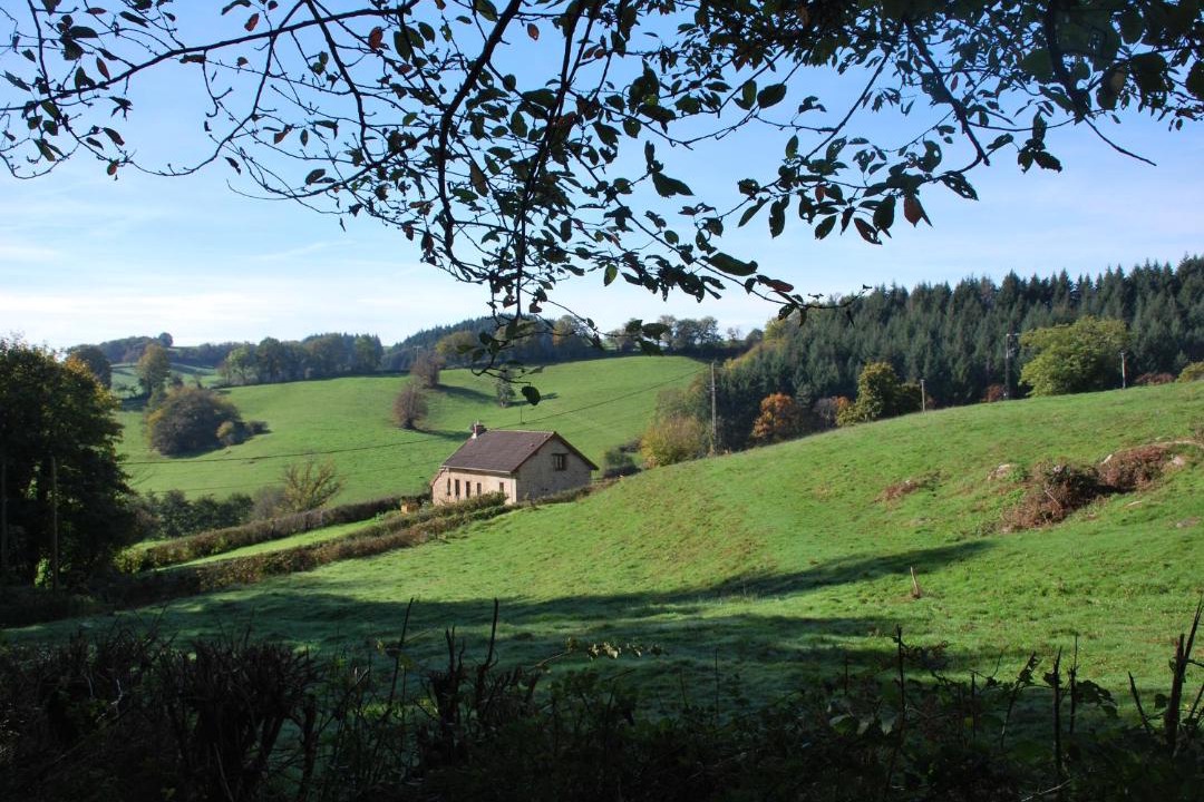 Photo of Others in Etang-sur-Arroux